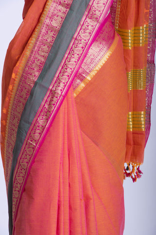 Kanchi cotton saree in butterfly print with texture